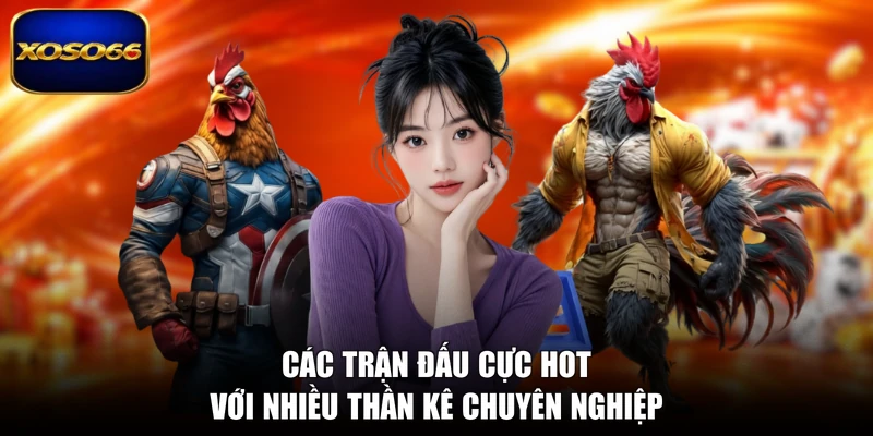 Các trận đấu cực hot với nhiều thần kê chuyên nghiệp
