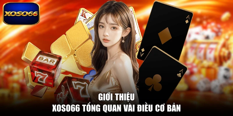 Giới thiệu XOSO66 tổng quan vài điều cơ bản