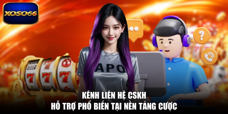 Kênh liên hệ CSKH hỗ trợ phổ biến tại nền tảng cược